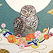 Yuki Watanabe Gallery